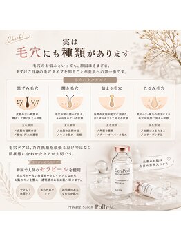 ポリー(Polly)/気になる毛穴の種類