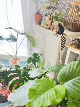 マシュマロハンド/よもぎ蒸し/冷え/むくみ改善