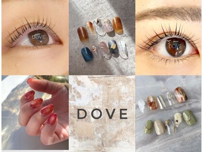 ドーヴ(DOVE)の写真