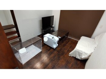 酸素カプセルコージィ(Cozy)/ペット用の酸素ＢＯＸです