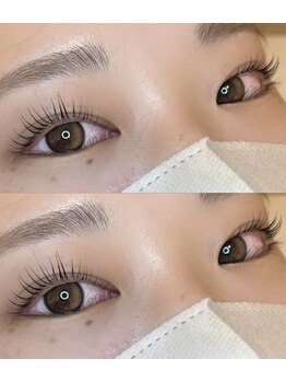 アイラッシュプラン リノ(eyelash plan RINO)/韓国風パーマ