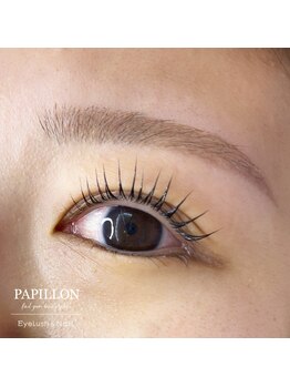 パピヨン(PAPILLON)/