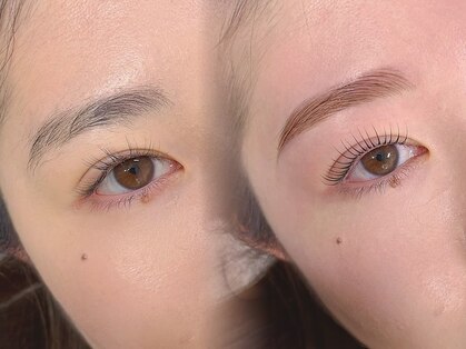 エミュ(emu)の写真