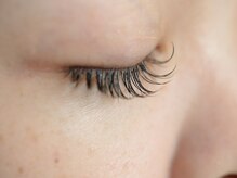 アーク(Arck)/Led140本