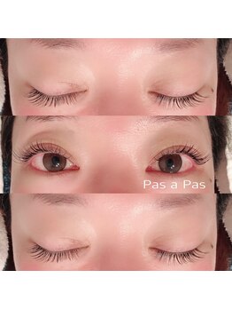 パザパ(Pas a pas)/フラットラッシュ120本