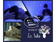 グースカ(Zzz.Suka)