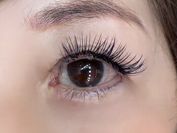 フリー#240(Free#240)/ダブルフラット240本　カラーMIX