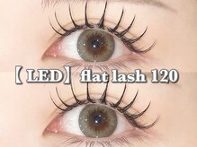 トゥルーネイル アンド アイ 大船店(TRU NAIL & EYE)の雰囲気(フラットラッシュ/バインドロック/マツエク/上下/LEDマツエク)