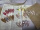 カカネイル(KAKA.Nail)の写真