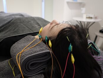 ビーロイヤル(B-ROYAL)/頭皮にも電流を流します