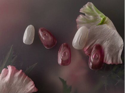 ツメトトノウの写真