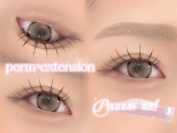 ラボテ(laboT)/パリエク100本