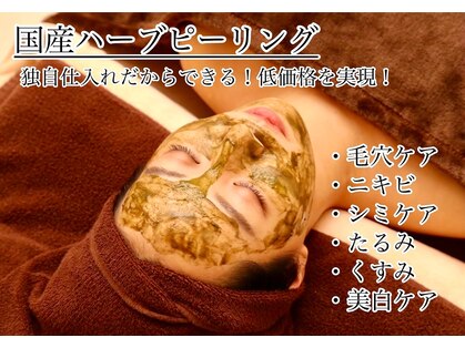 ハル(Halu)の写真