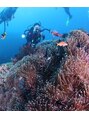 若松整体院&nbsp;大海原で魚を眺めて癒されています。