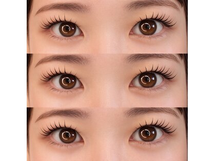 ナビ(NAVI)の写真