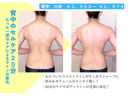 セルトリ 大通BISSE店の写真