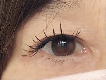 マギバイバディ 宇都宮店(magi by BUDDY)/フラットラッシュ