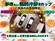 サニー(SUNNIE)の写真