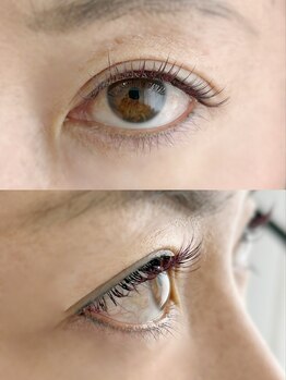 ムニ(muni)/LEDフラットラッシュ100本