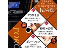 プレジール エテ(plaisir Ete)の雰囲気（【フォースカッター】結果重視☆脂肪燃焼やセルライト改善に◎）