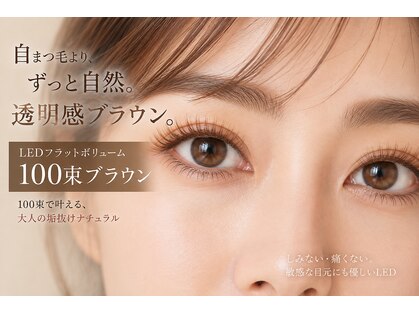 チック(chick)の写真
