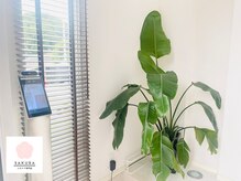 サクラ(SAKURA)/コロナ対策を徹底しております。