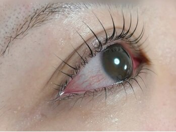 ランジュ(L'ange)の写真/〈速攻で垢抜け★〉まつげパーマ￥4000～◎自まつ毛のお悩みご相談下さい！理想のまつ毛に仕上げます♪