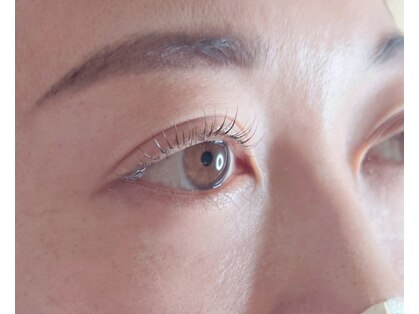 ヨイ(yoi)の写真