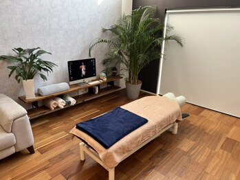 道下カイロプラクティック整体院の写真/【広々とした上質個室】光・音・香り・声のトーンまで。五感を癒やす極上のおもてなし空間。