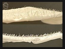 ヴィオール 名古屋栄店(VIOR)/毛穴が目立ちづらくなる♪