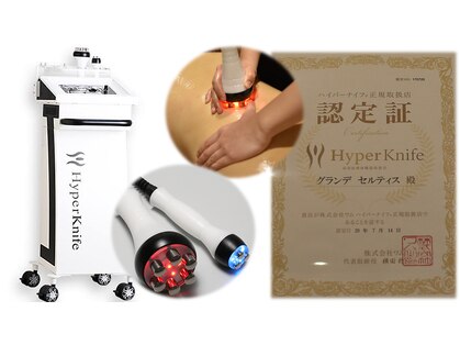 グランデ セルティス(grande celltis)の写真
