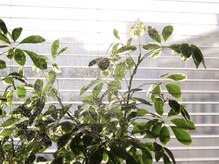 カルム ピラティススタジオ 千葉本店(KALM pilates studio)/自分を見つめ直す特別な体験を