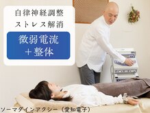 オルタナ/ソーマダインアクシー微弱電流