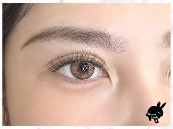 バニーラッシュ(Bunny Lash)/【ボリュームラッシュ】