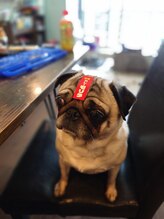 ウォーターワールド 二宮店(WATER WORLD)&nbsp;盛 夫