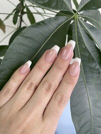 バーチャルフレンチ