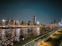 爪切り屋 足楽/2024年　夜桜