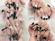 アリアネイルビューティー 新宿歌舞伎町(ARIA Nail Beauty)の写真