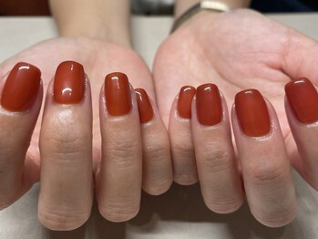 トロイ(troja)/ワンカラー