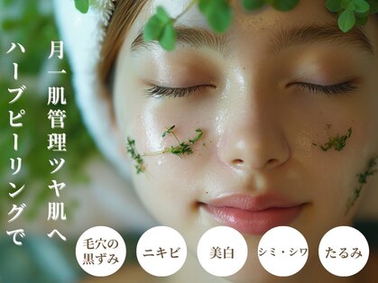 ラティエ(Latier)の写真
