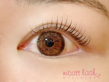 ニコットラッシュ 神戸三宮店(nicott lash)/まつげパーマ/パリジェンヌ/神戸