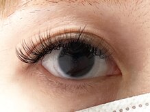 クレヴィア(crevia)/LEDボリュームラッシュ120束