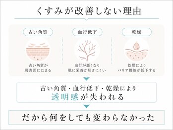 ハス(hasu.)/
