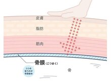 フィラメント エビス(Filament EBISU)/骨膜整体について