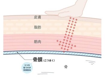 フィラメント エビス(Filament EBISU)/骨膜整体について