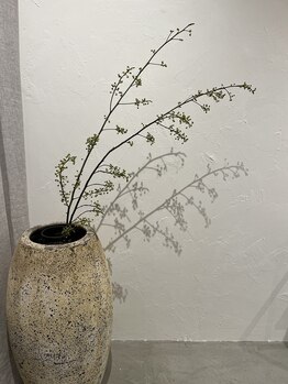 キトウミ(kitoumi)/店内お花