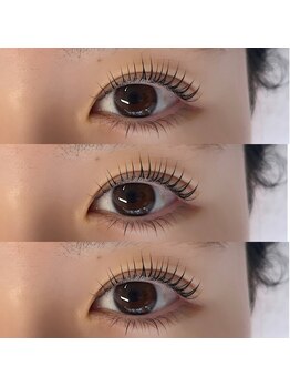 チャイ(Chai)/パリジェンヌ