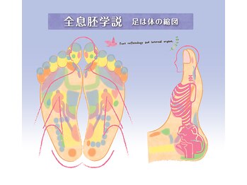 コハク(kohaku)の写真/足裏の専門知識と若石リフレ技術をご堪能！施術後アフターケアで健やかな毎日を☆