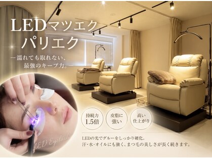 シーク(Seak)の写真