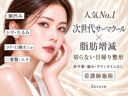 スレーン 上本町(Serein)の写真
